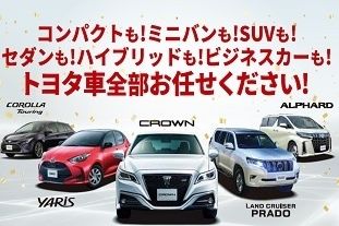 カーラインナップ