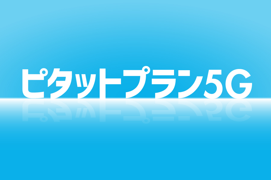 ピタットプラン5G_お得な料金プラン_【21年4月~】携帯・スマホを購入したい