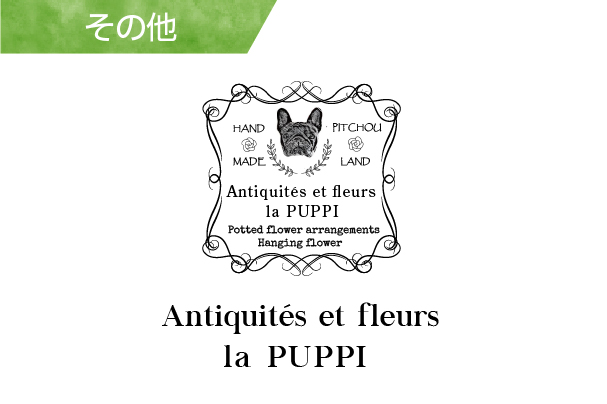  Antiquités et fleurs la PUPPI
